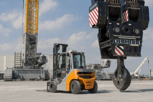 crane